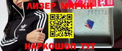 шишки Будённовск