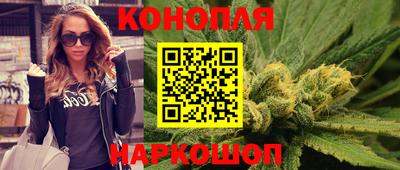 шишки Будённовск
